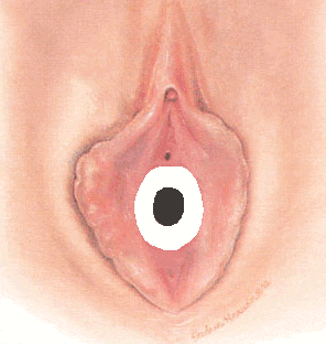 [special_image011.gif]