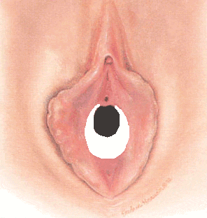 [special_image012.gif]