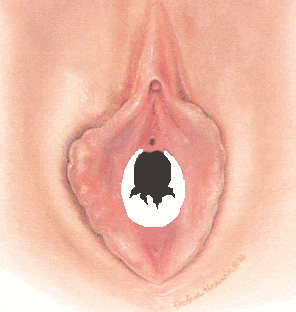 [special_image013.gif]